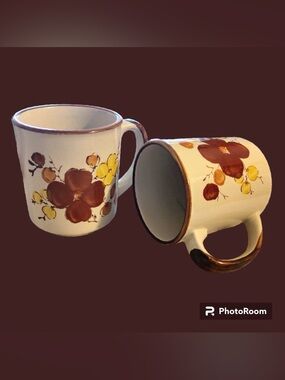 Pair 2 VTG 70’s/80’s Stonecrest Tropicana Mugs Floral Xlent Condition Grannycore